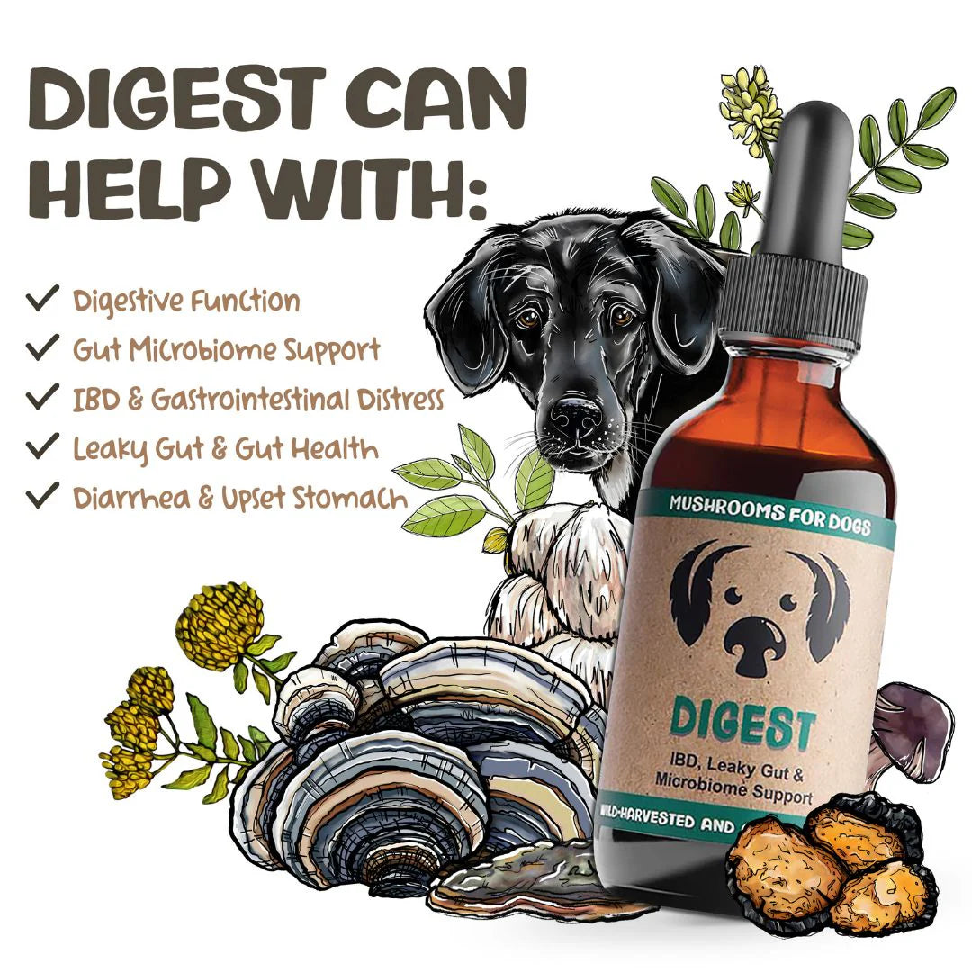 Mycodog Mushroom Tincture- Digest