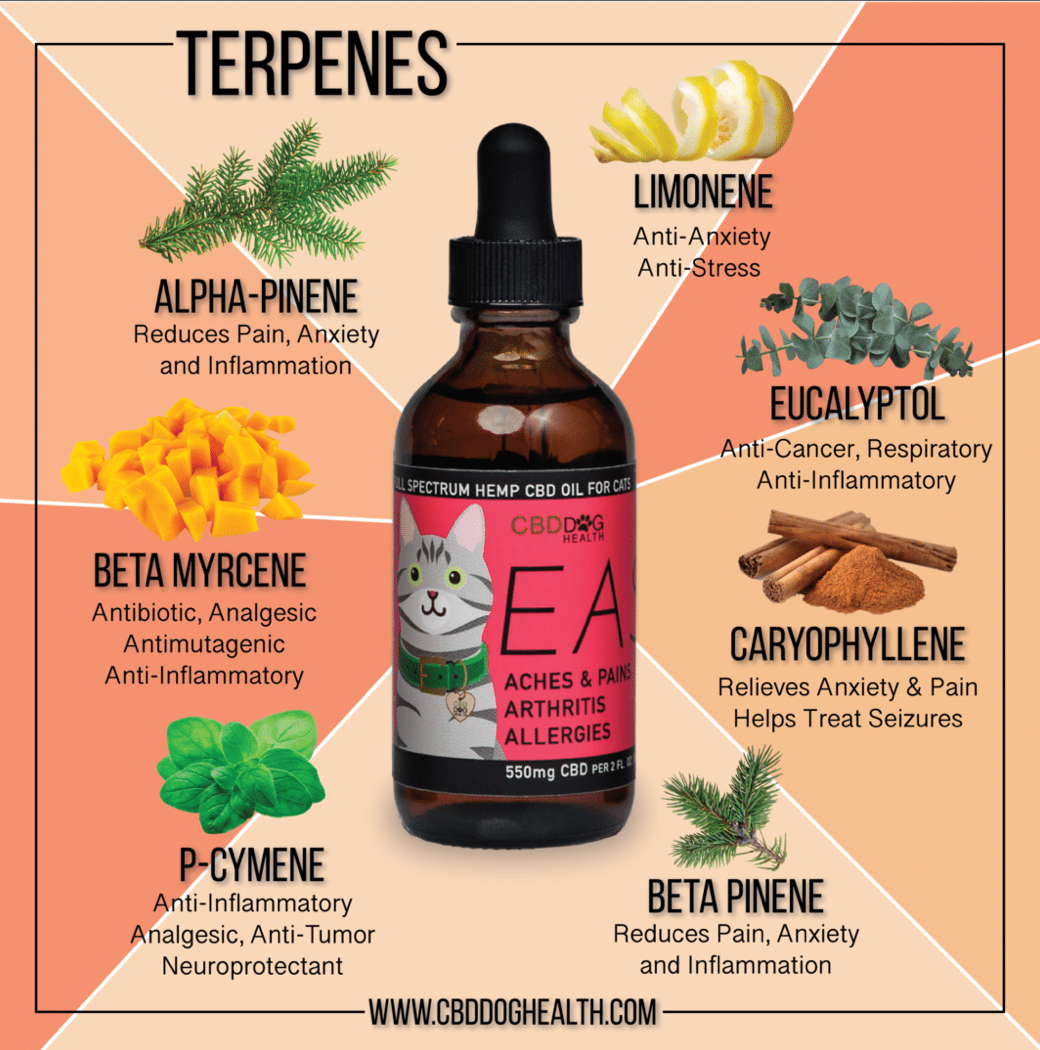 EASE CAT Oil | 550mg - Aches, Arthritis, Allergies