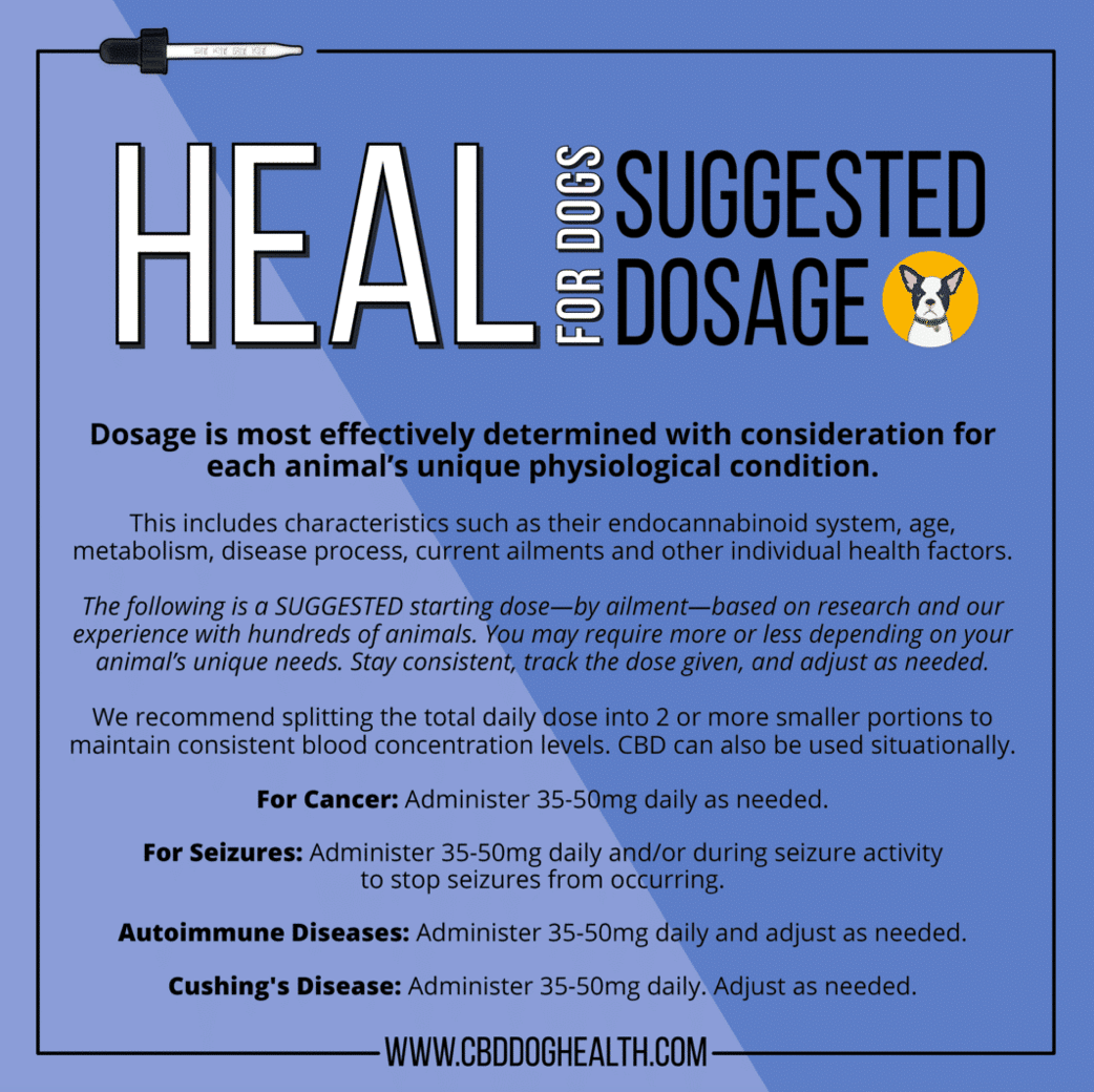 HEAL CAT Oil | 1,100mg