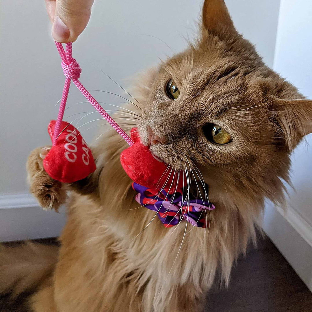 Huxley & Kent Kittybelles Heart Strings