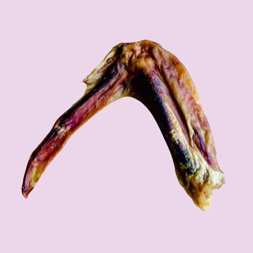Duck Wing "Chew Bar"