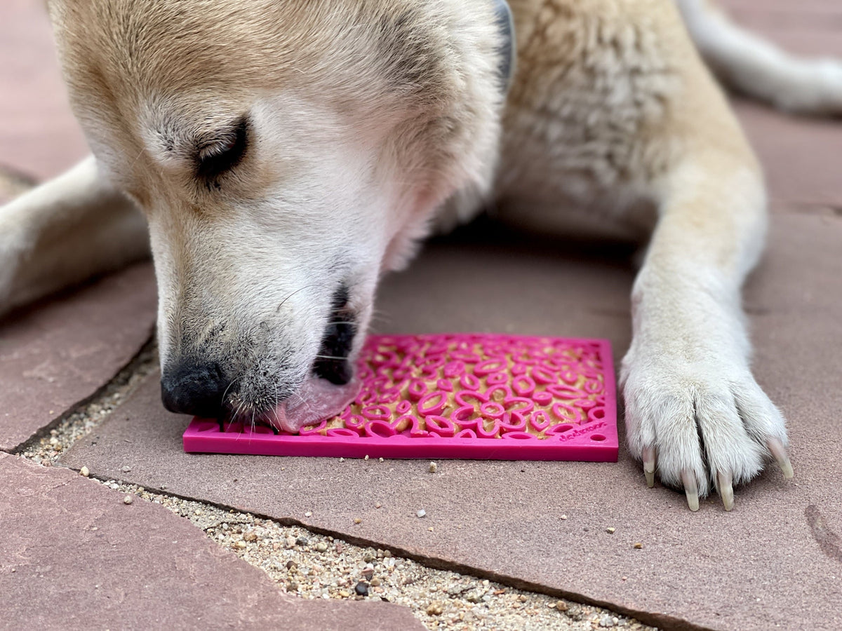 SodaPup Honeycomb Design Emat Enrichment Lick Mat Large