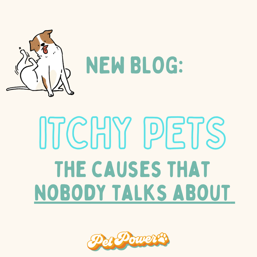 The Real Deal on Itchy Pets!