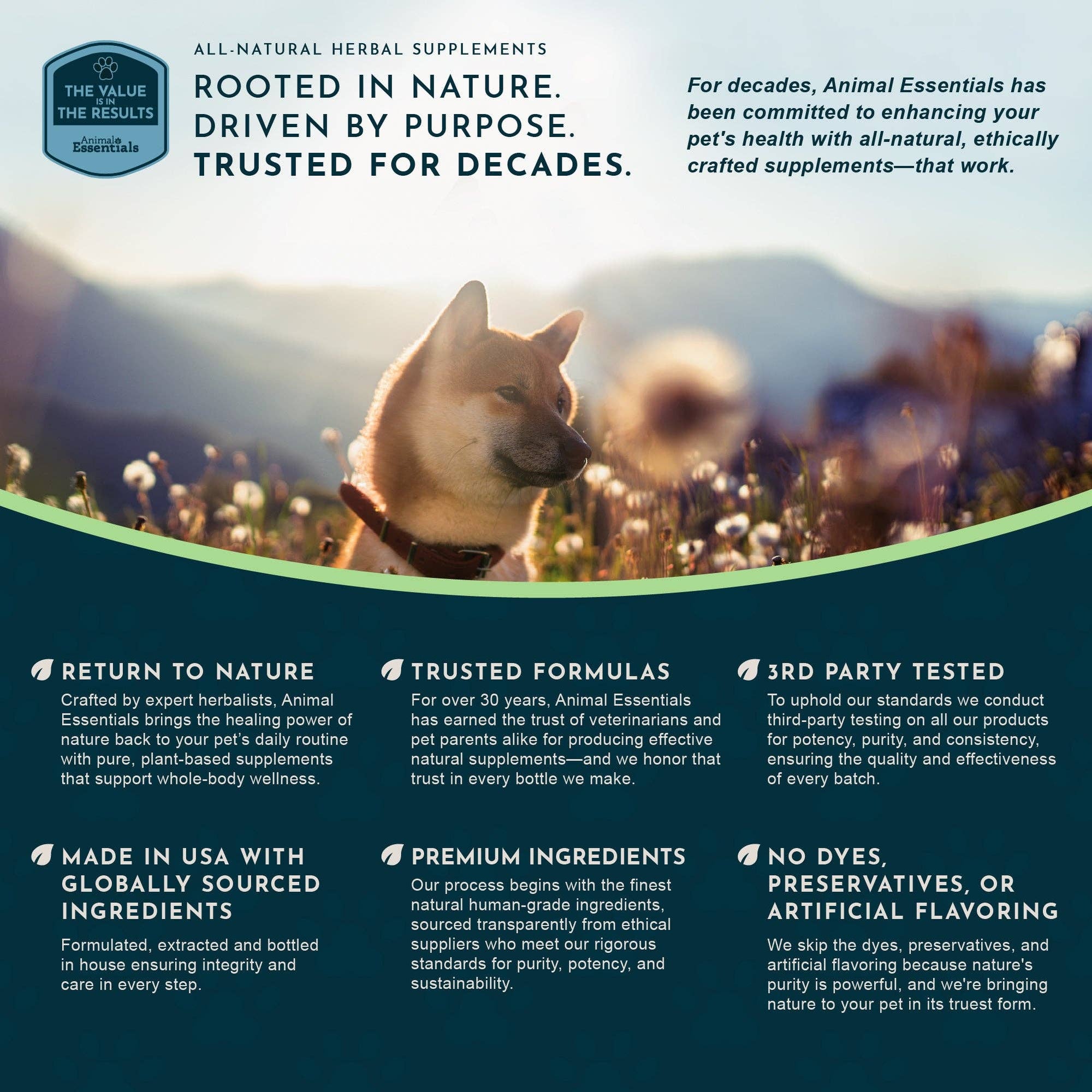 Animal Essentials | Seasonal Allergy Herbal Tonic | Maintains Normal Histamine Levels: 1oz