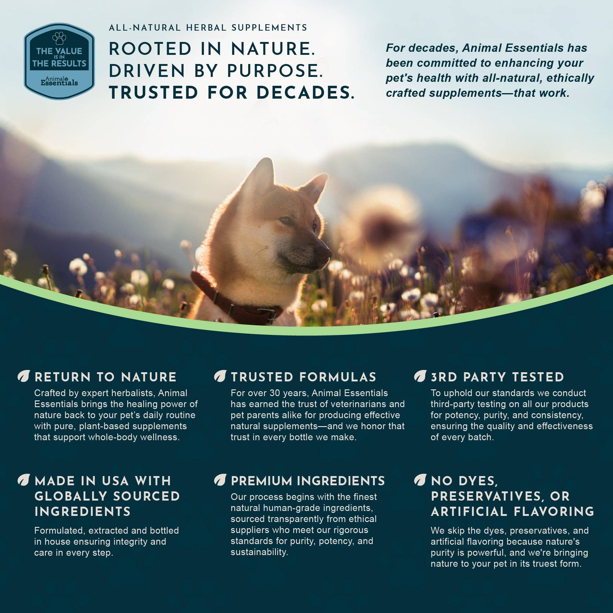 Animal Essentials | Seasonal Allergy Herbal Tonic | Maintains Normal Histamine Levels: 1oz