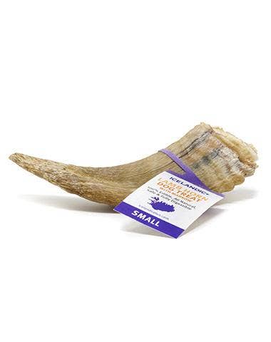 Icelandic+ - Icelandic+ Small Lamb Horn with Marrow Dog Treat: 1-ct (Single)