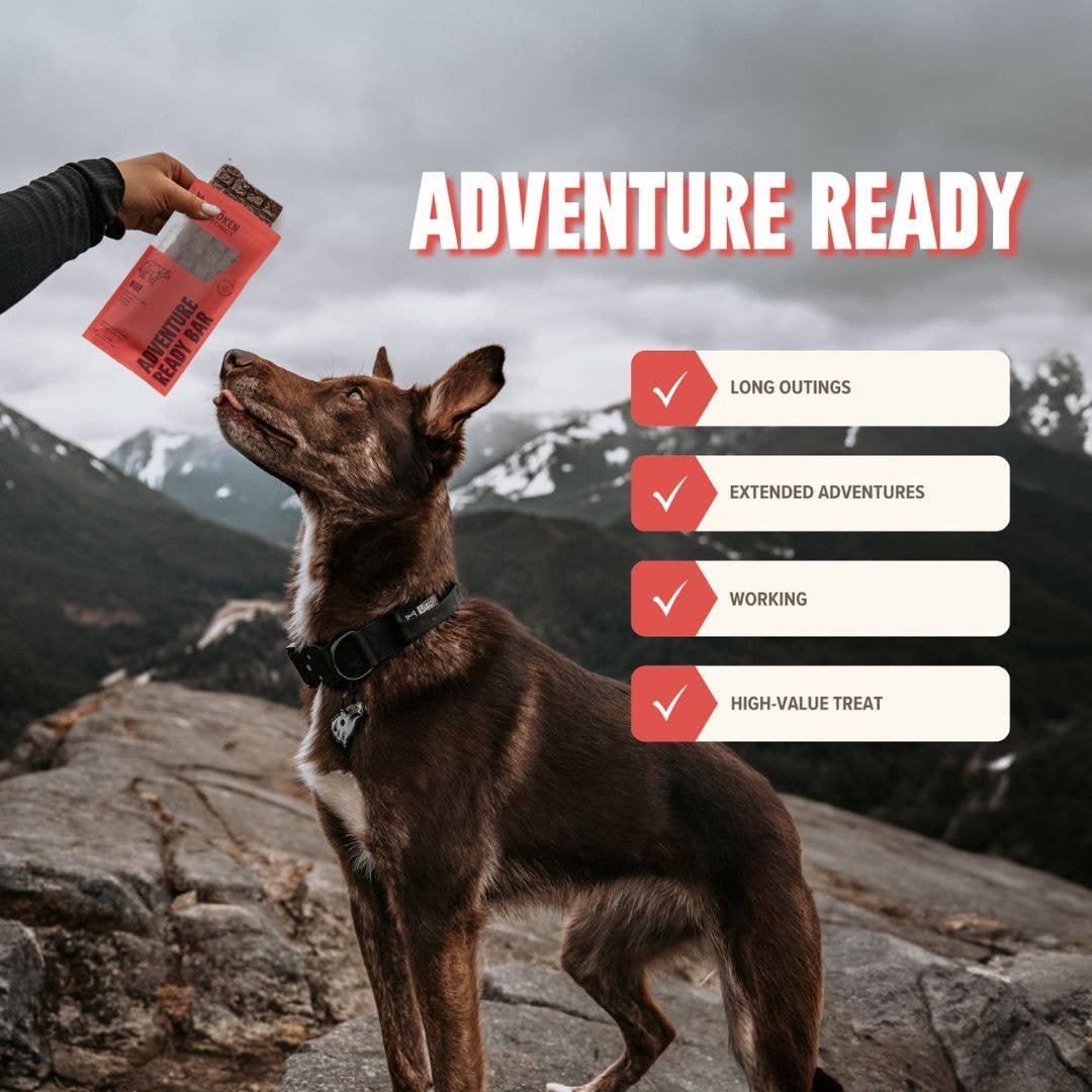 RYŌKEN INSTINCT -  Beef Treat & Snack Bar for Active Dogs - Energy & Recovery