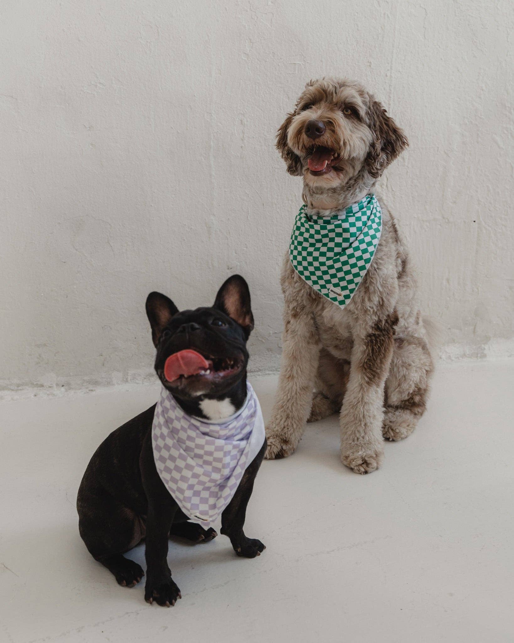 dexypaws - Cooling Bandana in Green Checkers: S/M