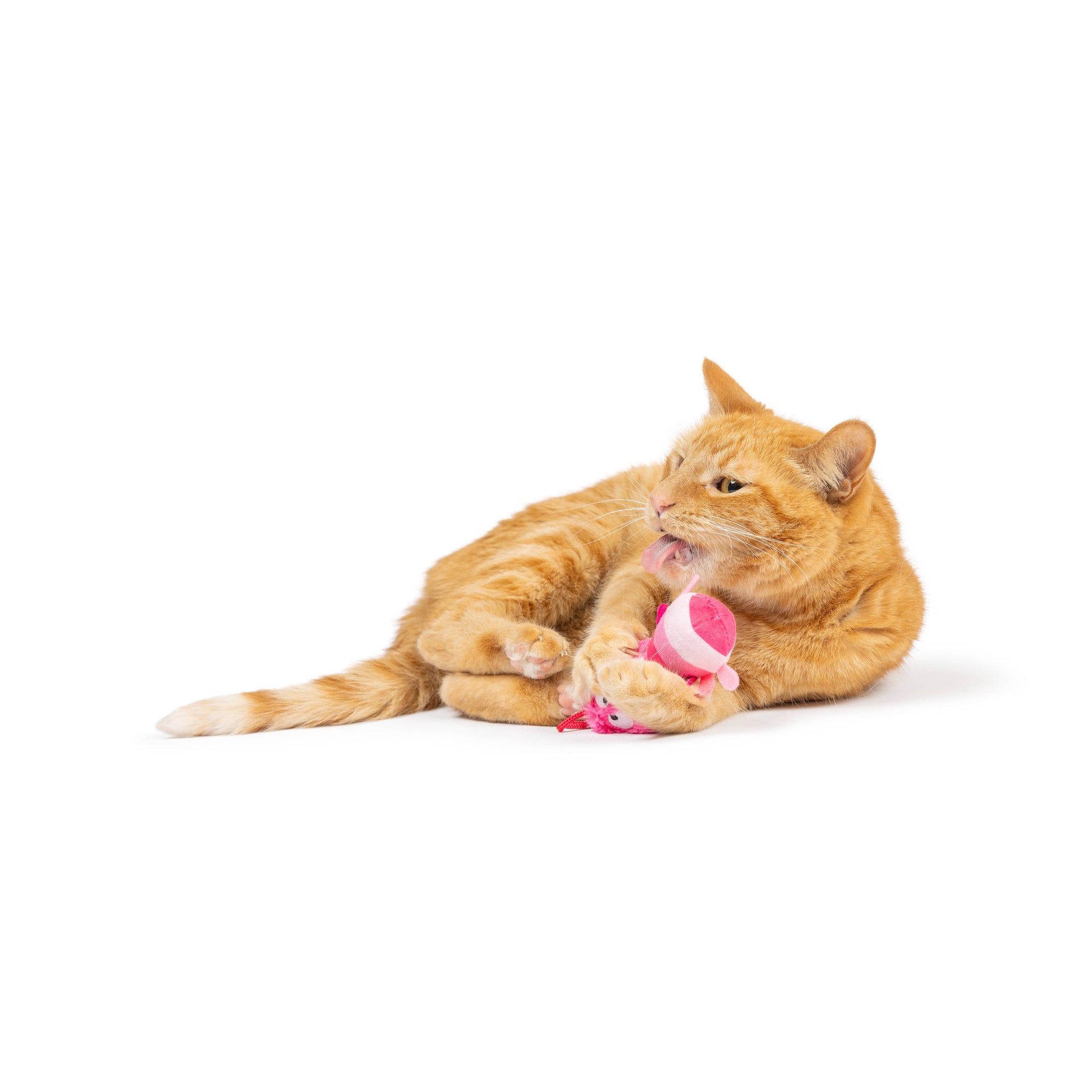 Huxley & Kent - Love Bugs 2pk Cat Toy: One Size