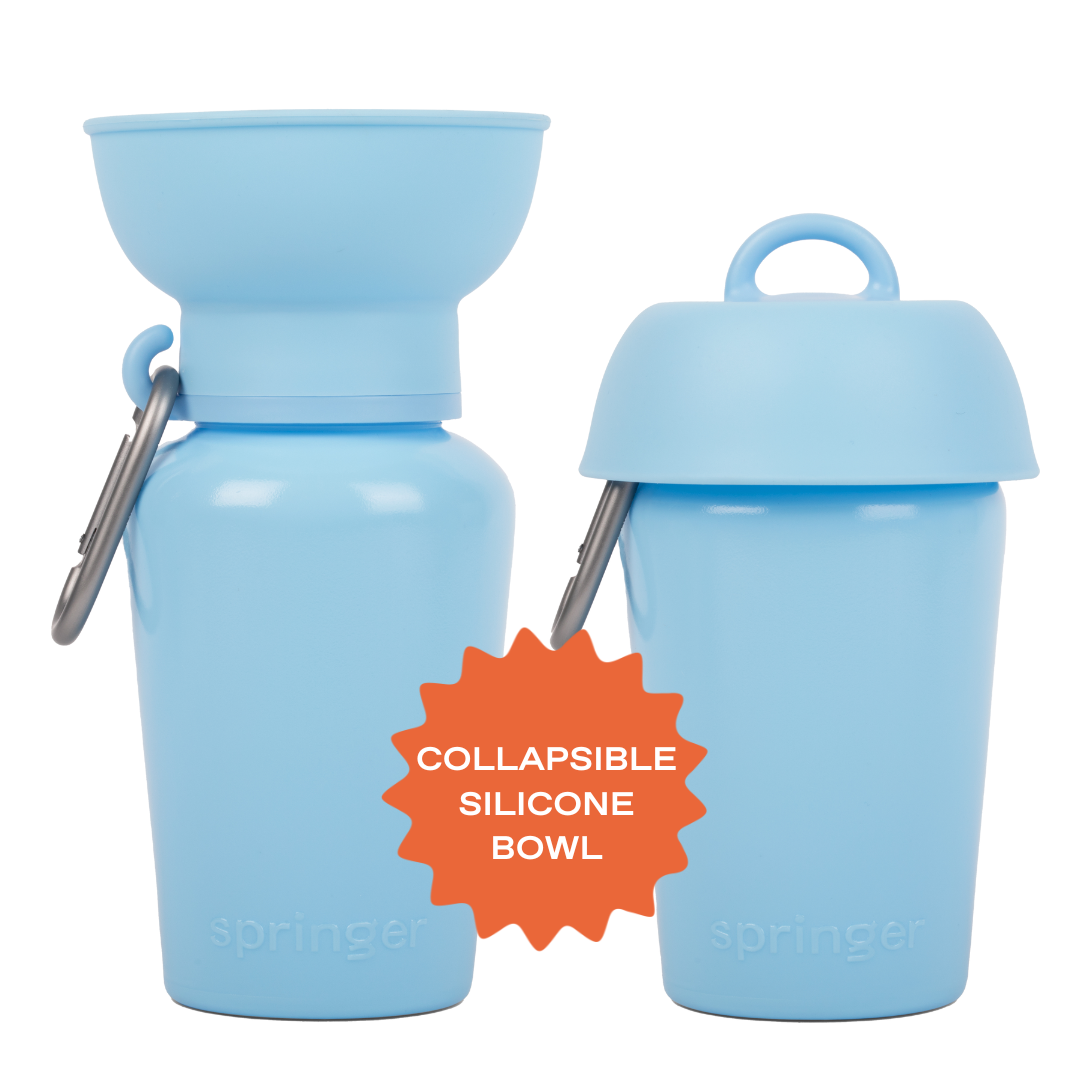 Springer Pets - Dog Travel Water Bottle, 20oz, Flip Silicone (12 Pack): Mixed (12 Pack)