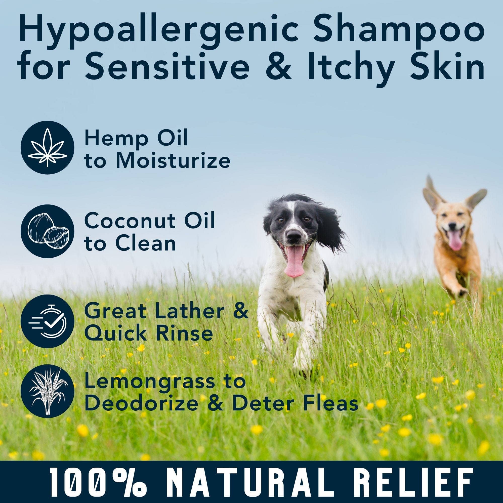 4-Legger - MOISTURIZE Organic Hemp Dog Shampoo with Lemongrass: (16 oz)