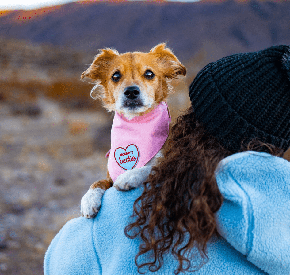 Besties Pets - Mommy’s Bestie  | Iron-On Patches For Dogs and Cats: Yes