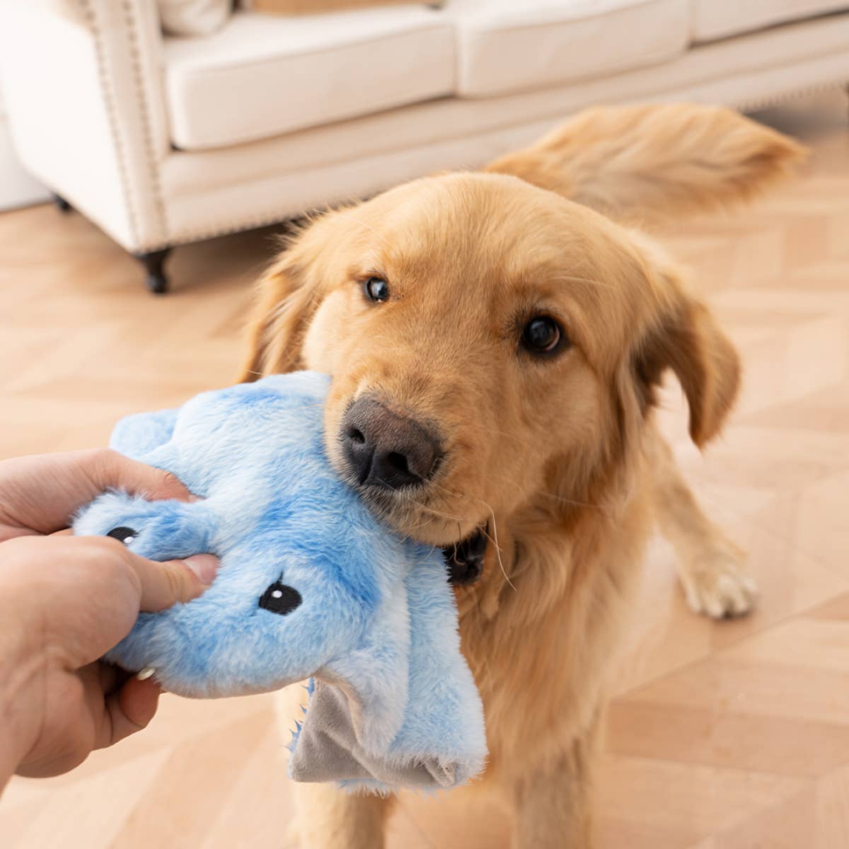 Tall Tails - Animated Manta Ray Dog Toy