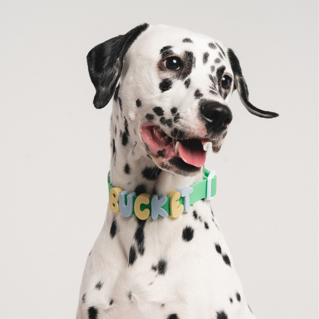 Springland Pets - Silicone Dog Charms for Dog Collar/Leash/Bottle (63 Charms): Butter
