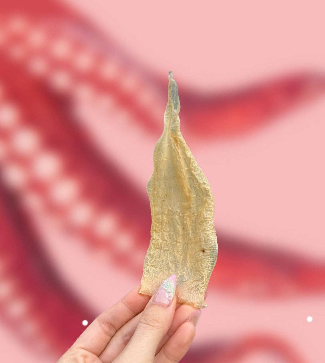 Wulf Snacks - Squid Chews