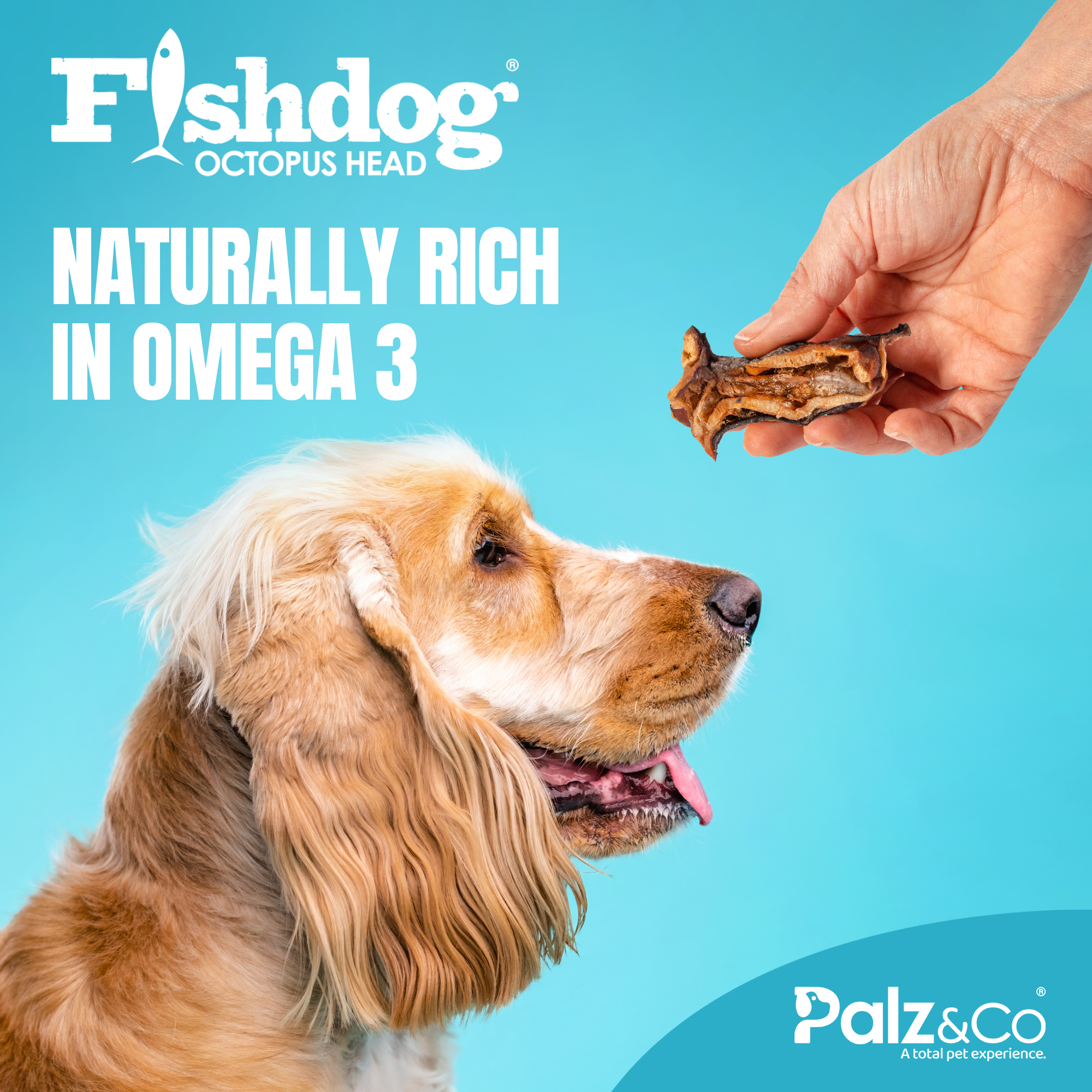 Palz&Co - Fishdog Octopus Head - 3.5 oz (100g)