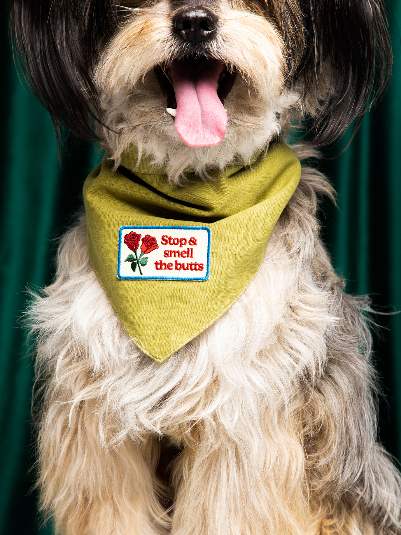Scout's Honour Pty Ltd - Stop & Smell The Butts iron-on patch for dogs and cats