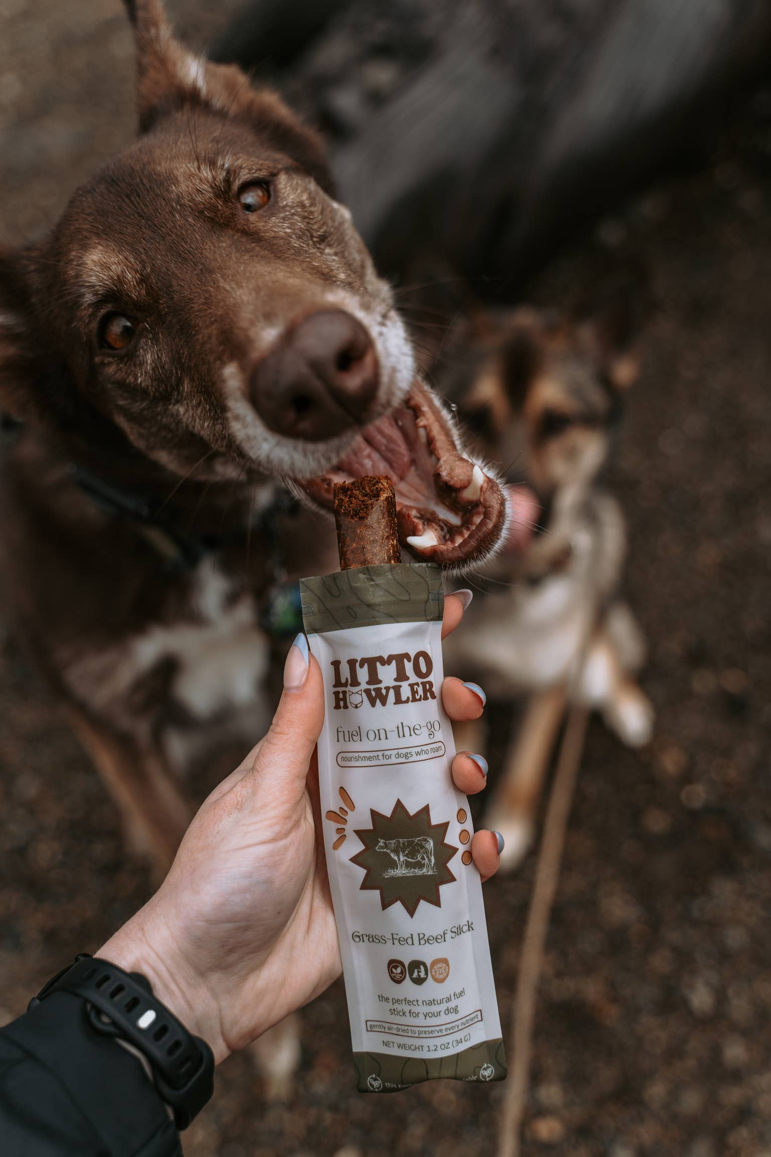 Litto Howler | Grass Fed Beef Stick