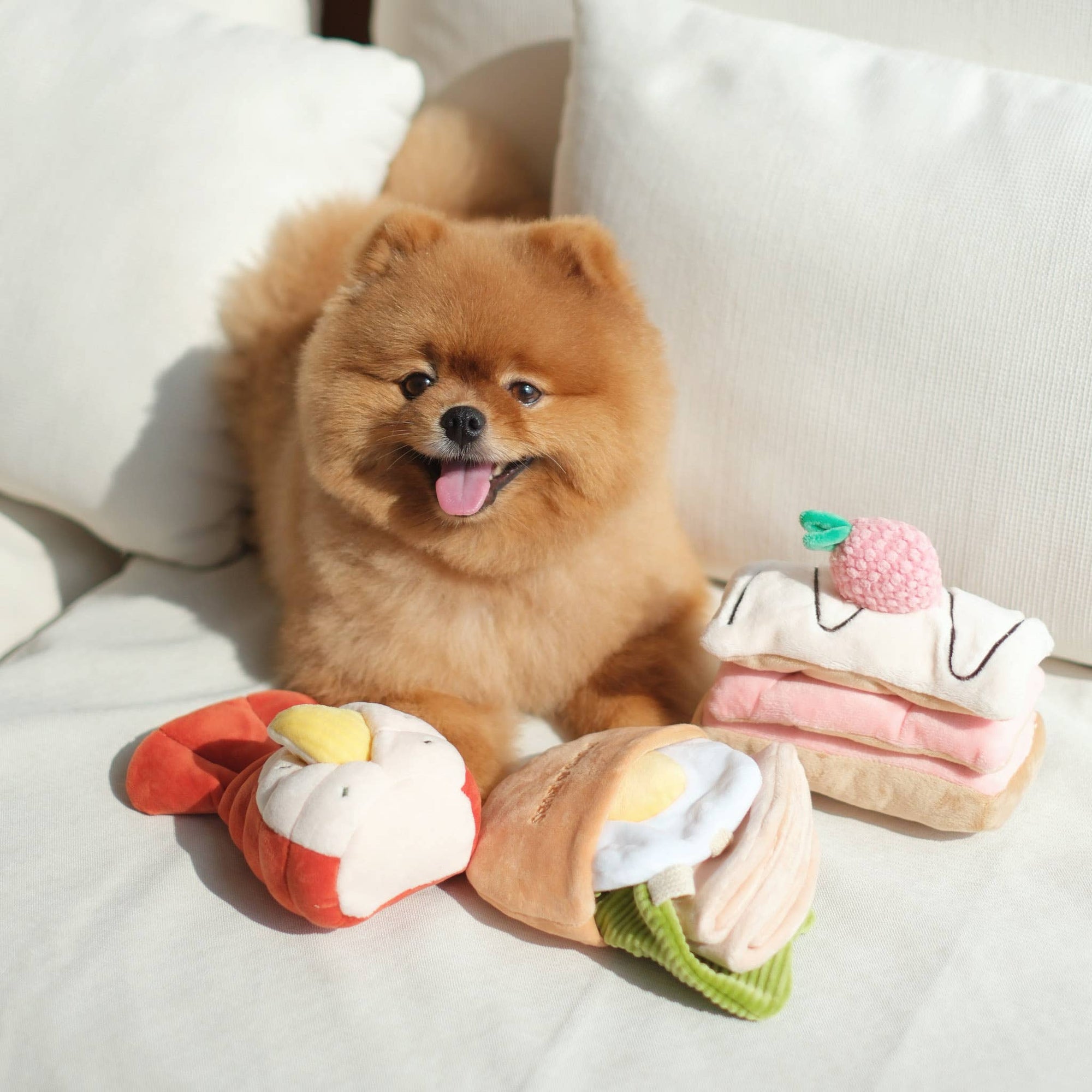 Pups & Bubs- Pita Pocket Nosework Toy