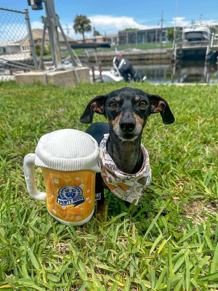 PAWTY Dog Toys - PAWTY Beer
