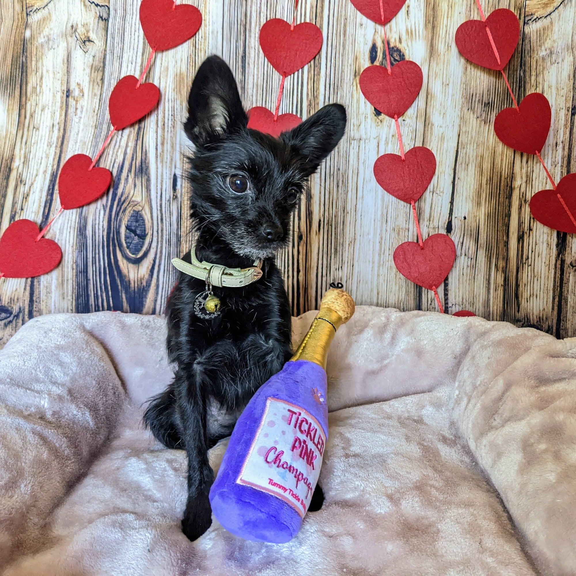 Huxley & Kent - Tickled Pink Chompagne Dog Toy (Large)