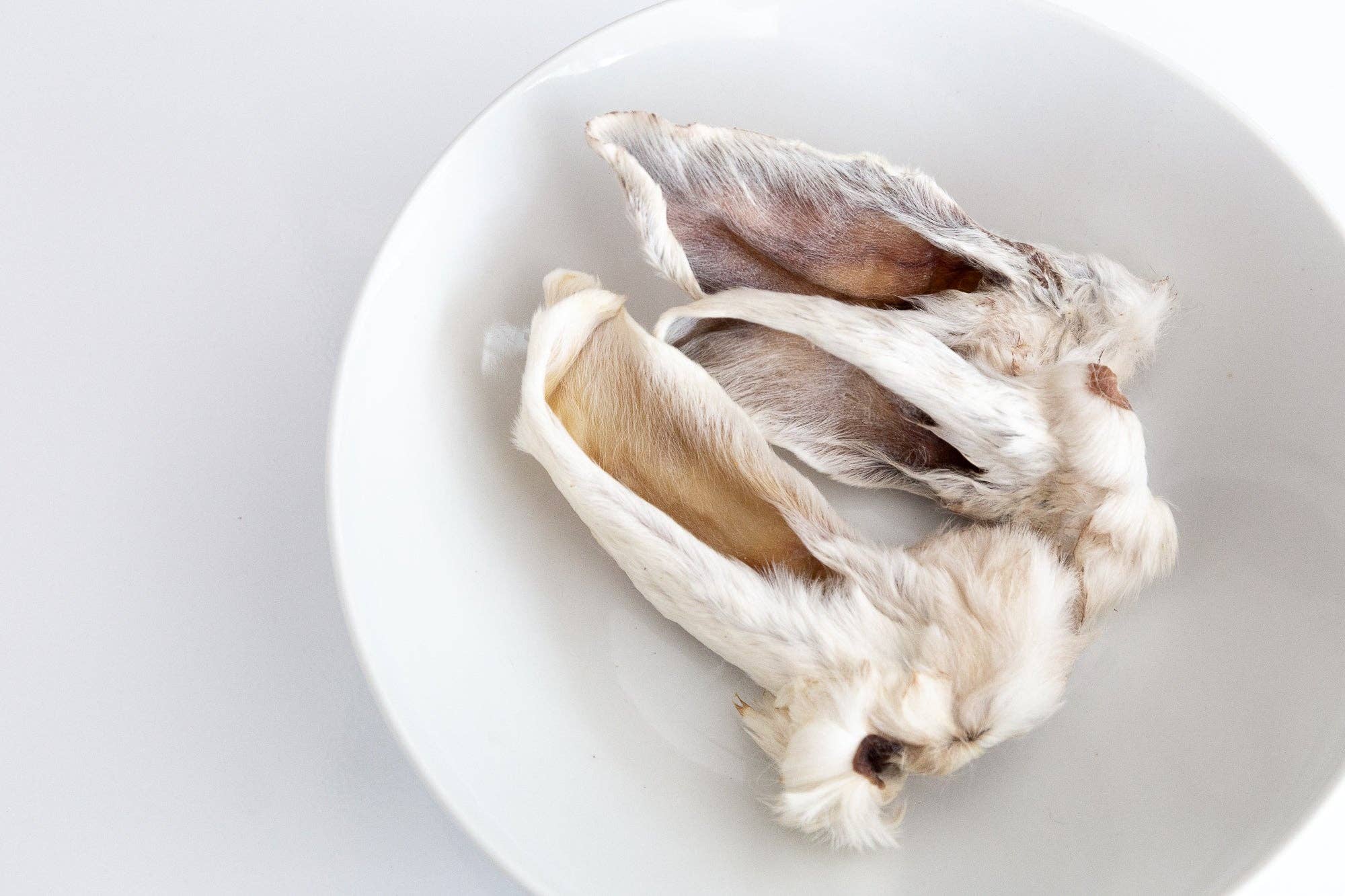 Rabbit Ear