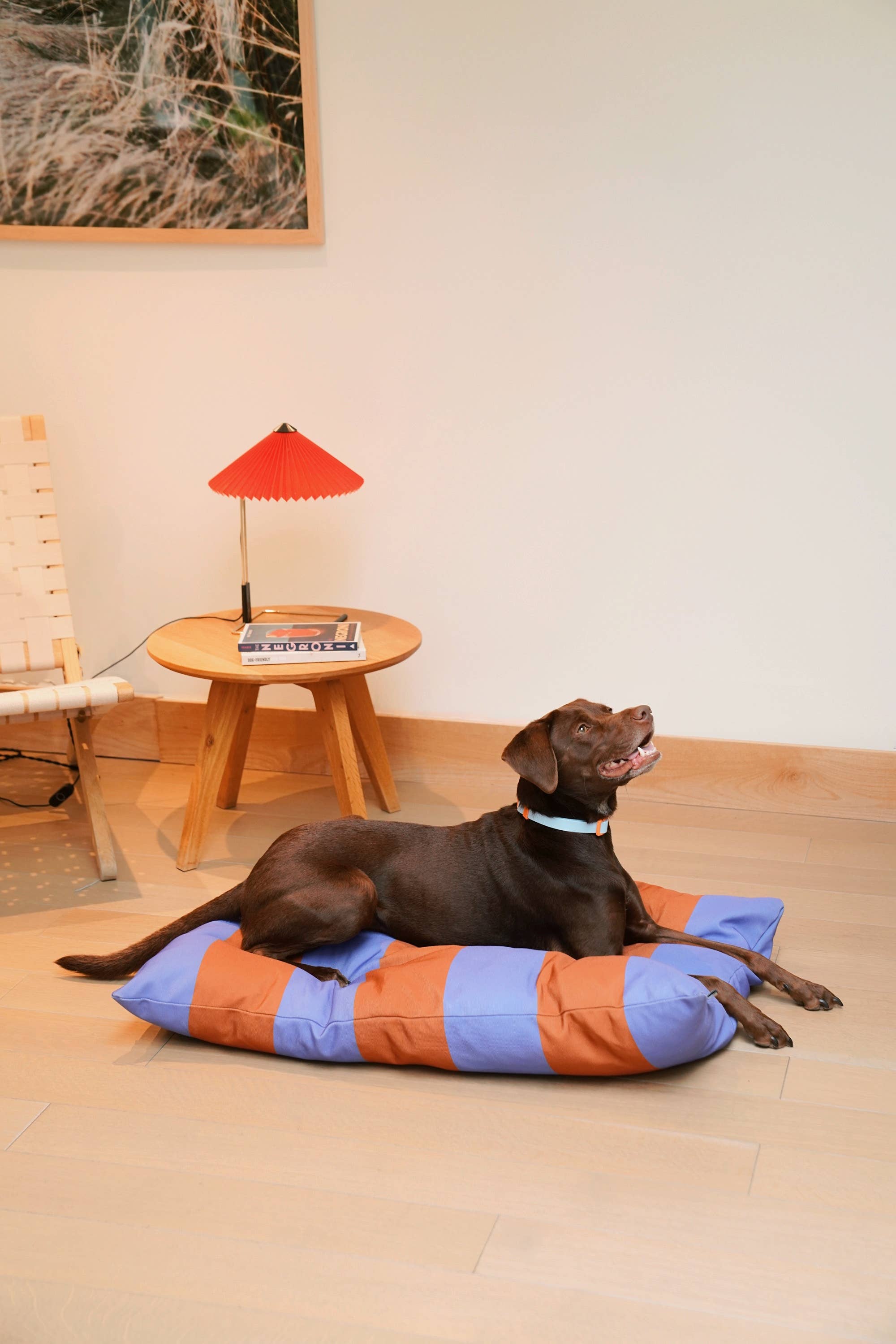Approved by Fritz - USA - The Fritz Dog Bed | Recycled | Machine Washable: Checkered / Standard