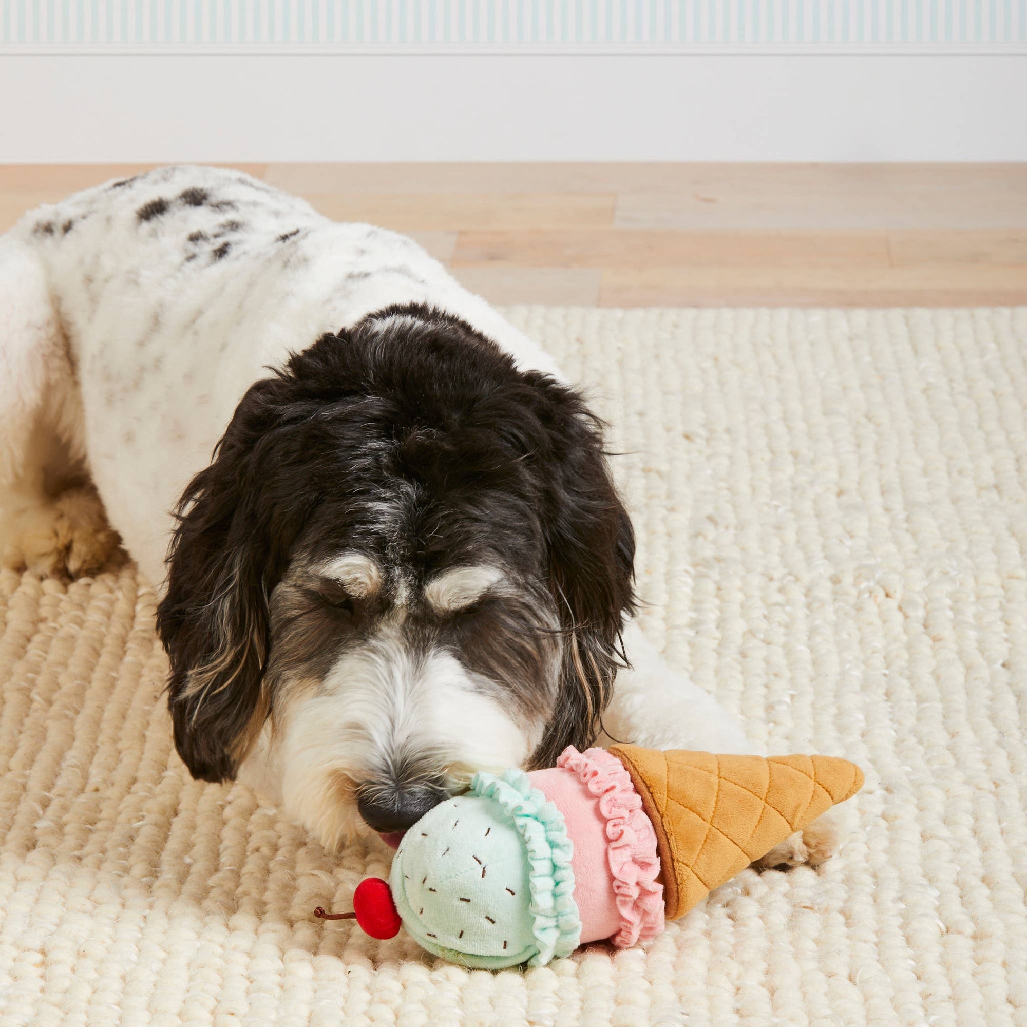 The Foggy Dog - Ice Cream Interactive 2-in-1 Bounce Dog Toy