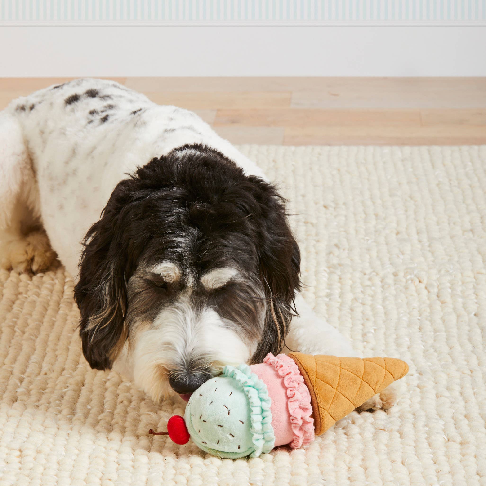 The Foggy Dog - Ice Cream Interactive 2-in-1 Bounce Dog Toy