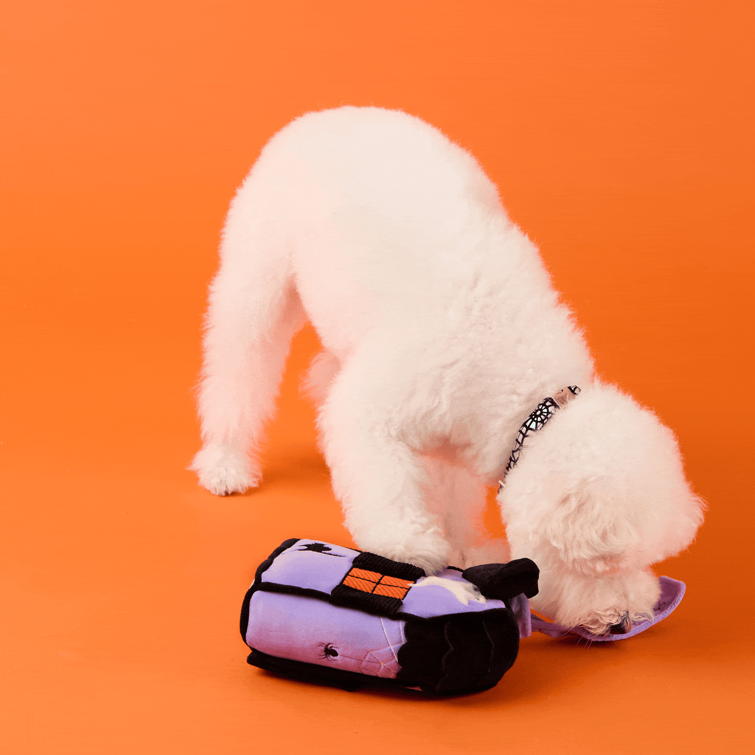 The Foggy Dog | Haunted House Interactive Snuffle Dog Toy