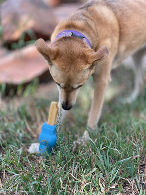 SodaPup - Petz Rubber Yak Chew Holder: Petz Rubber Yak Chew Holder