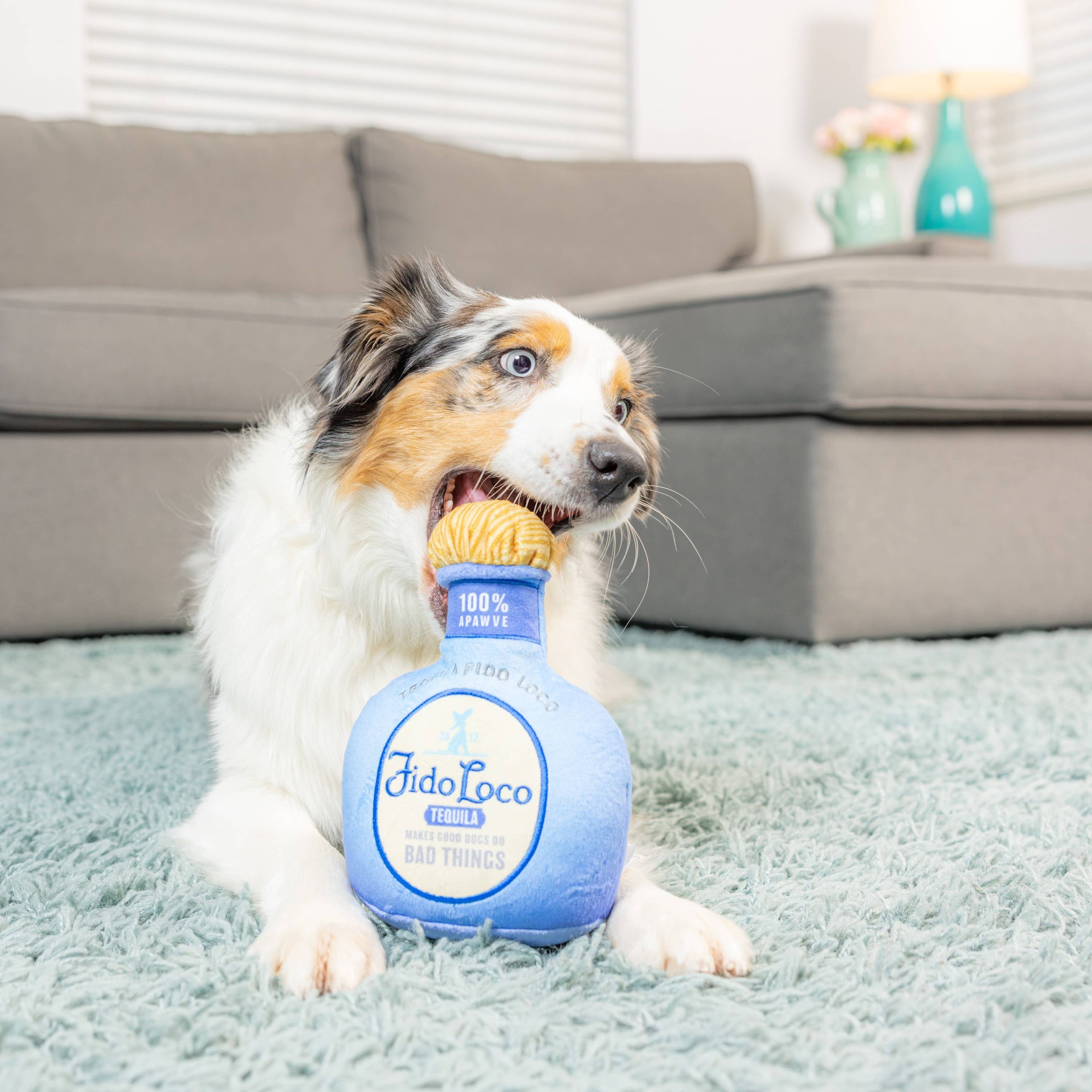 Huxley & Kent - Fido Loco Tequila Dog Toy (Small)