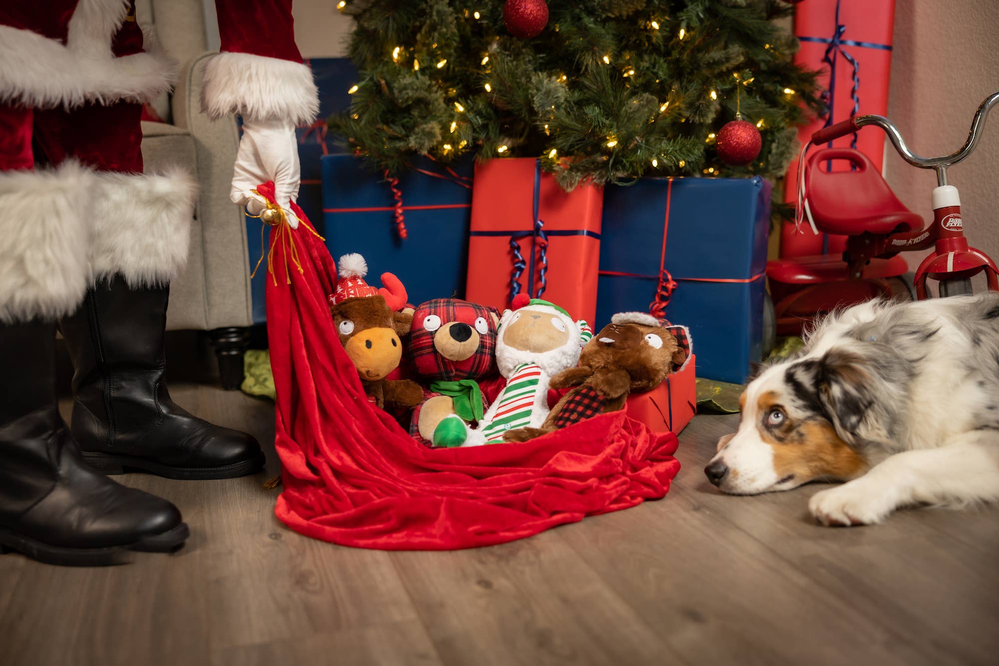 Huxley & Kent - Slappies® Mistletoe Moose For Dogs: Large