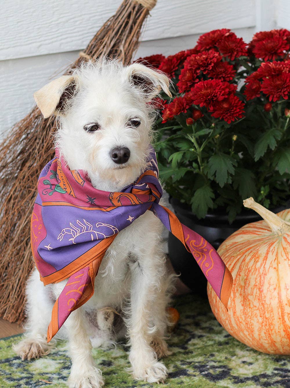 Good Thomas - Basic Witch Bandana: One Size