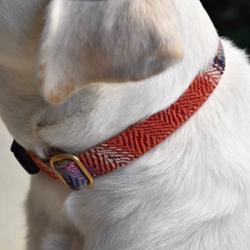 Finnegan’s Standard Goods - 1 inch Tulum Collar: S (15 - 25 lbs)
