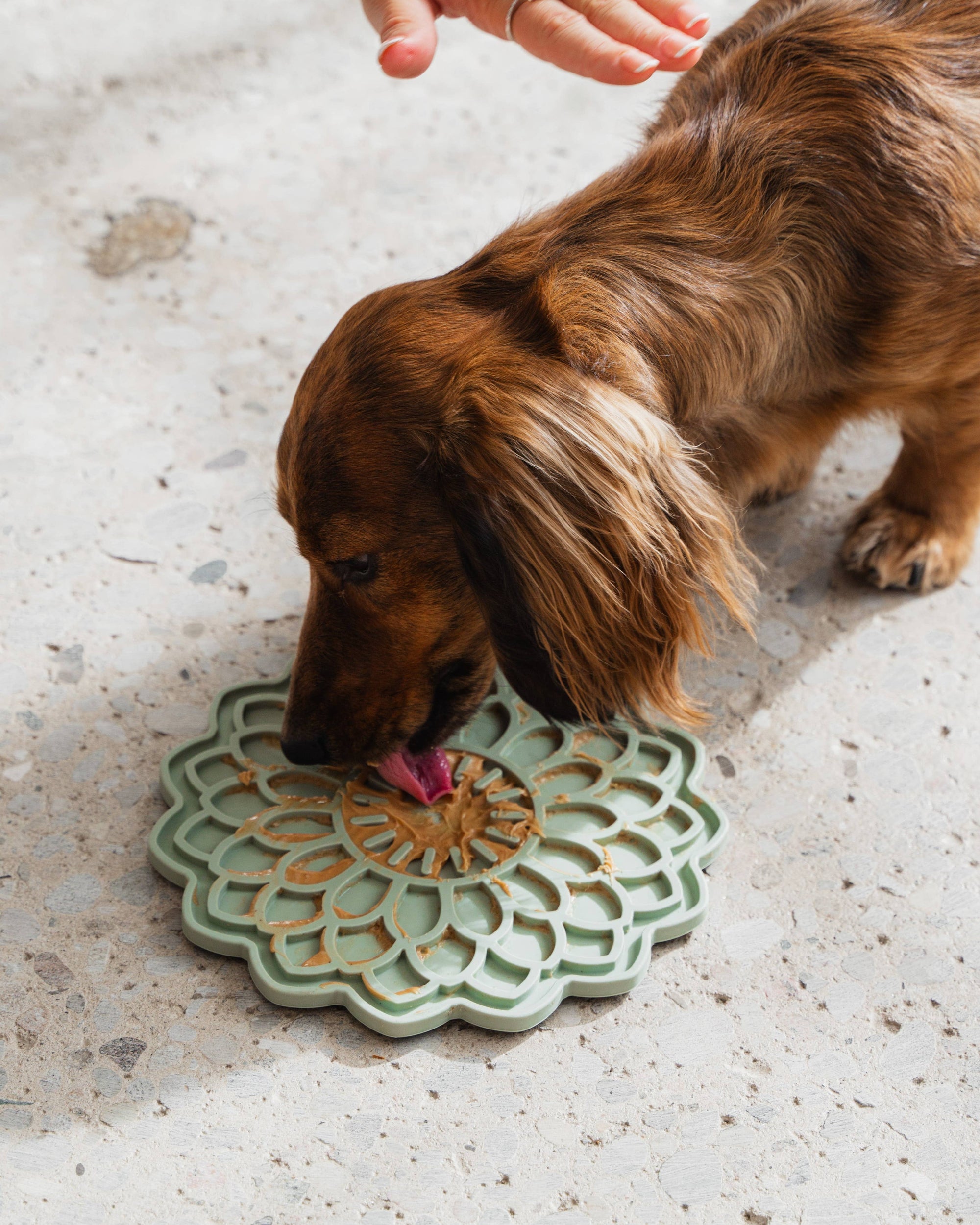 dexypaws - Blooming Blossom Enrichment Lick Mat