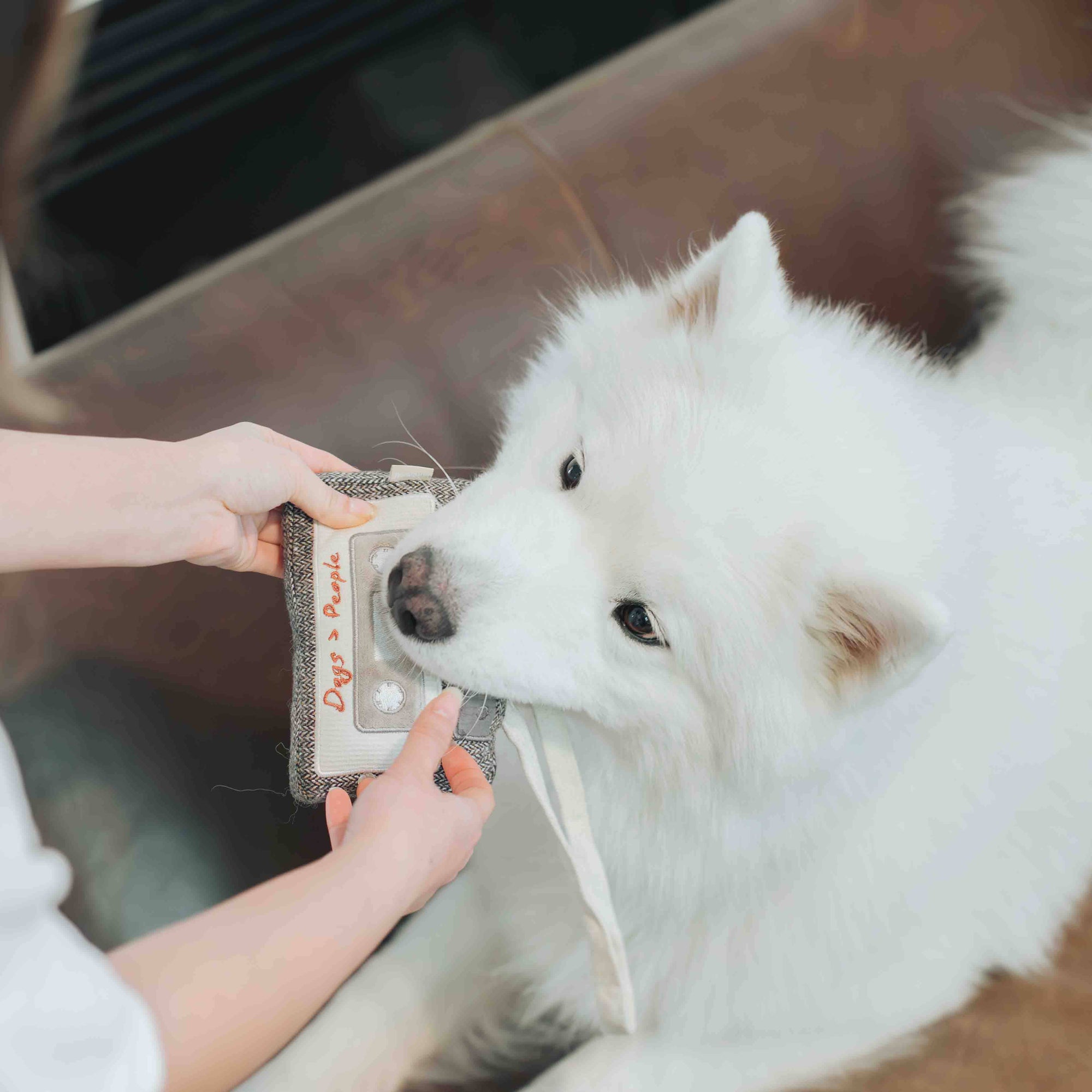 Lambwolf Collective - CASSETTE // ENRICHMENT DOG TOY