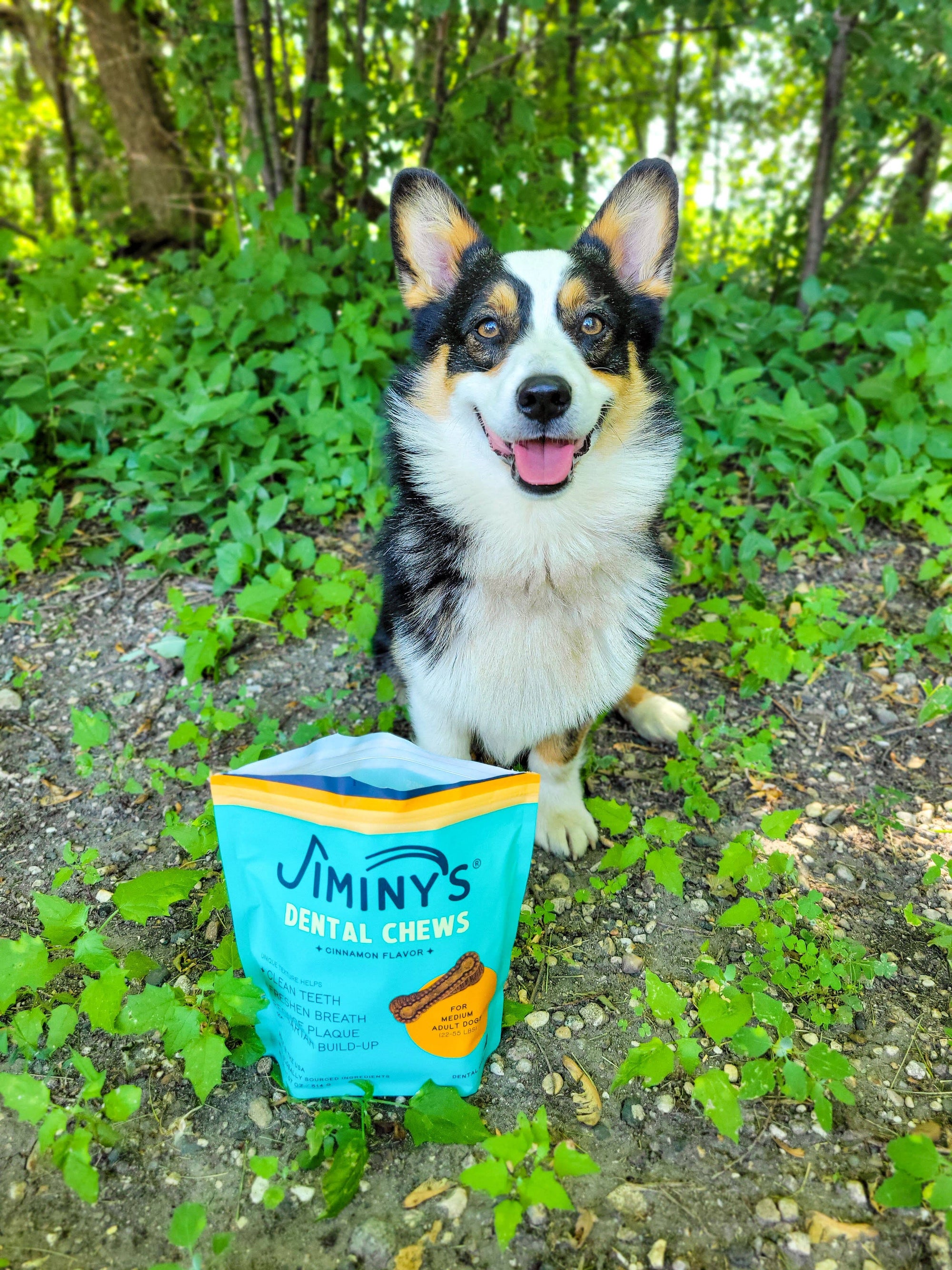 Jiminy's - Dental Chews: Extra-Small