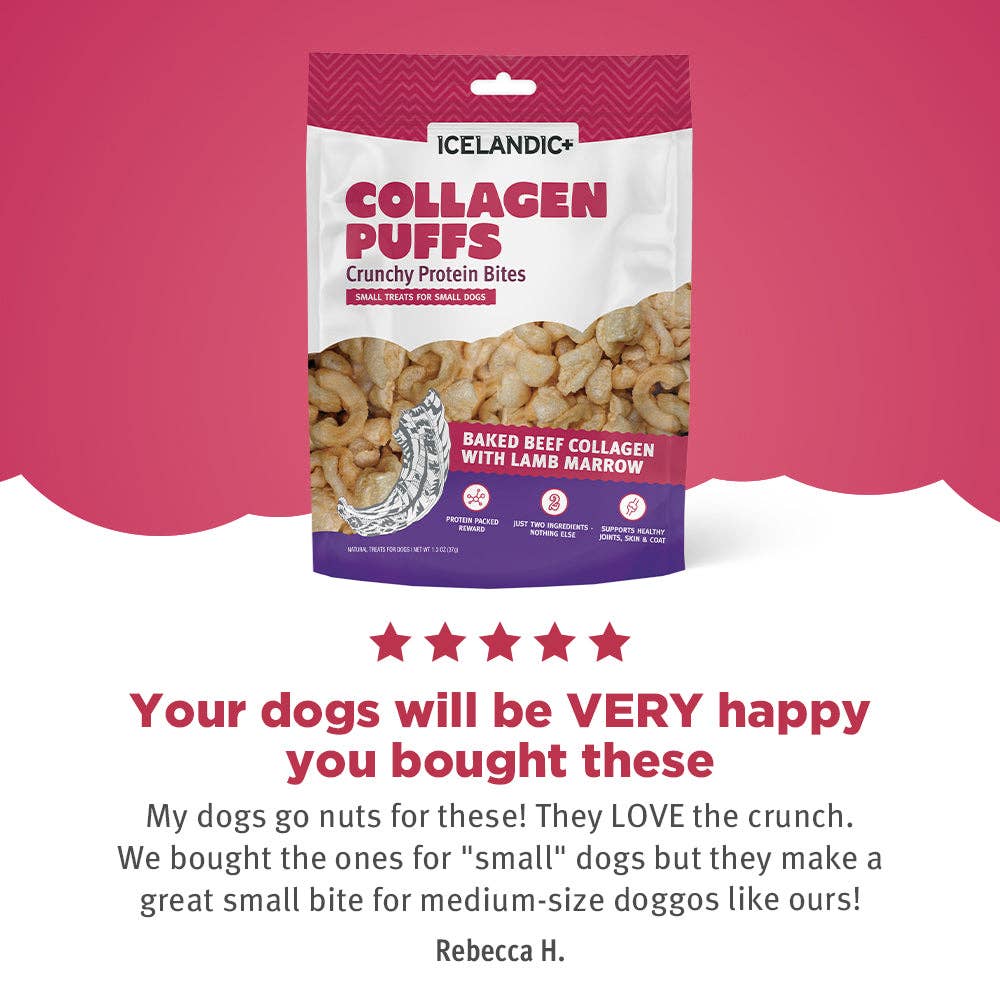 Icelandic+ - Beef Collagen Puffs with Marrow Treats for Small Dogs - 1.3oz: 1.3-oz Bag