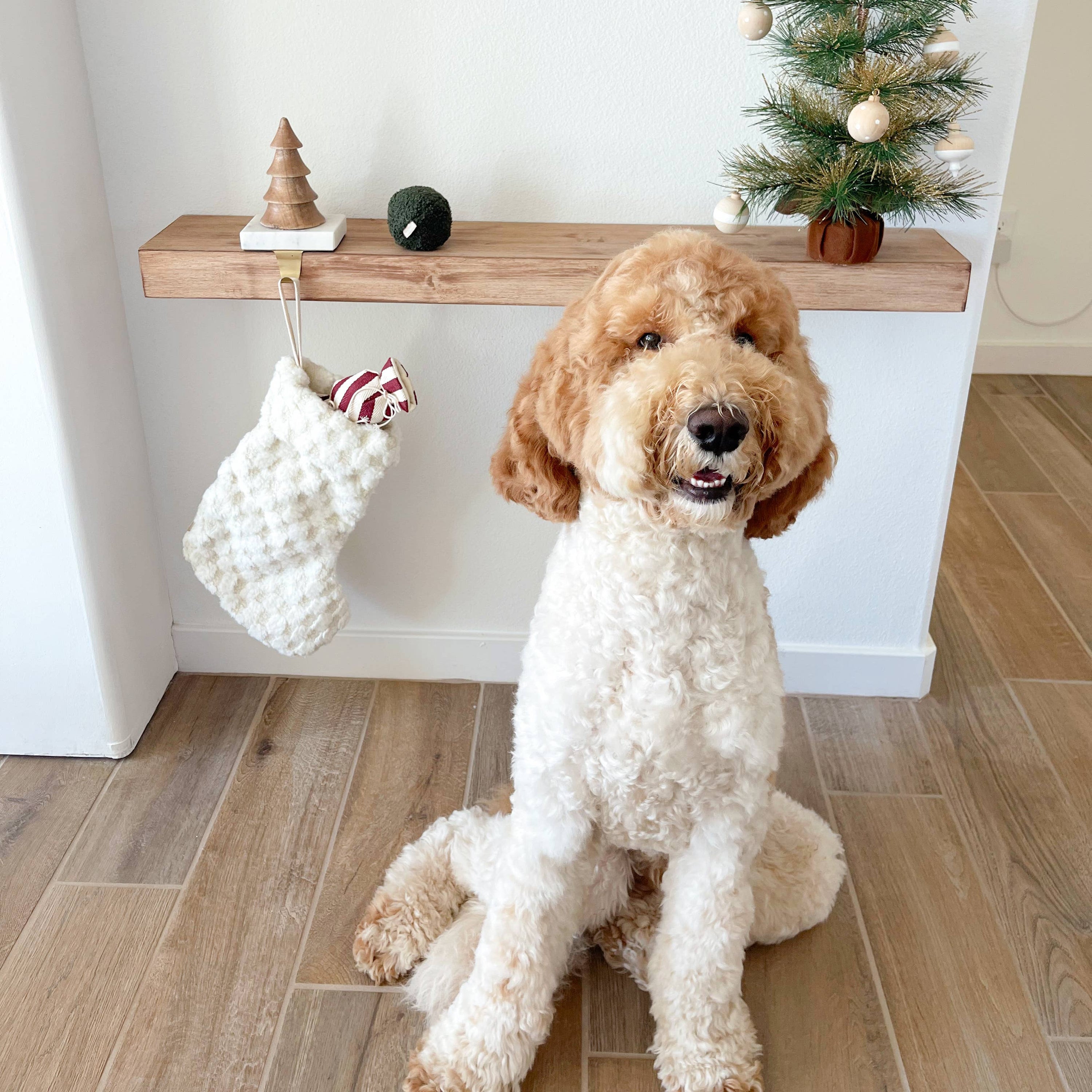 Lambwolf Collective - XMAS STOCKING//ENRICHMENT DOG TOY // HOLIDAY
