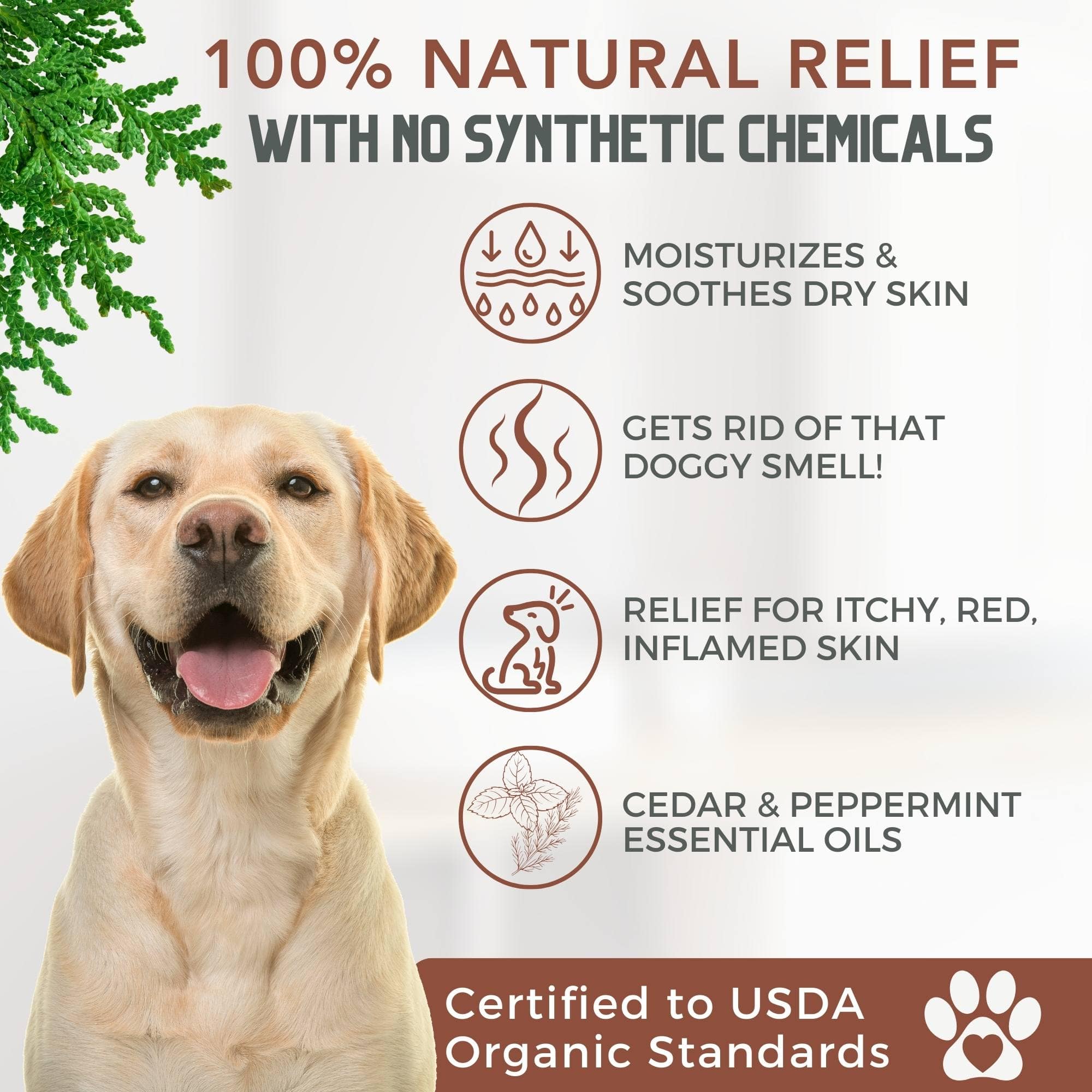 4-Legger - Natural Cedar Dog Shampoo and Conditioner with Peppermint & Eucalyptus: 2 oz
