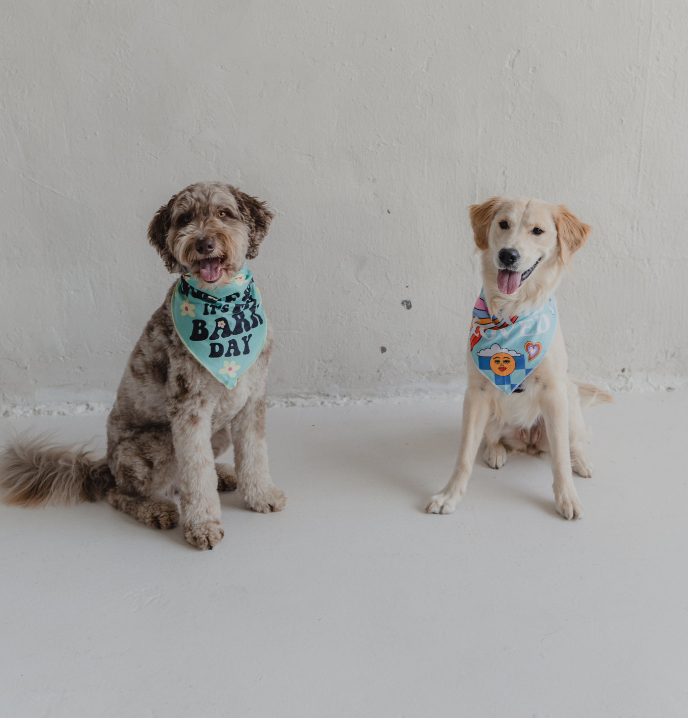 dexypaws - Woof Woof It’s My Bark Day Cooling Dog Bandana: S/M
