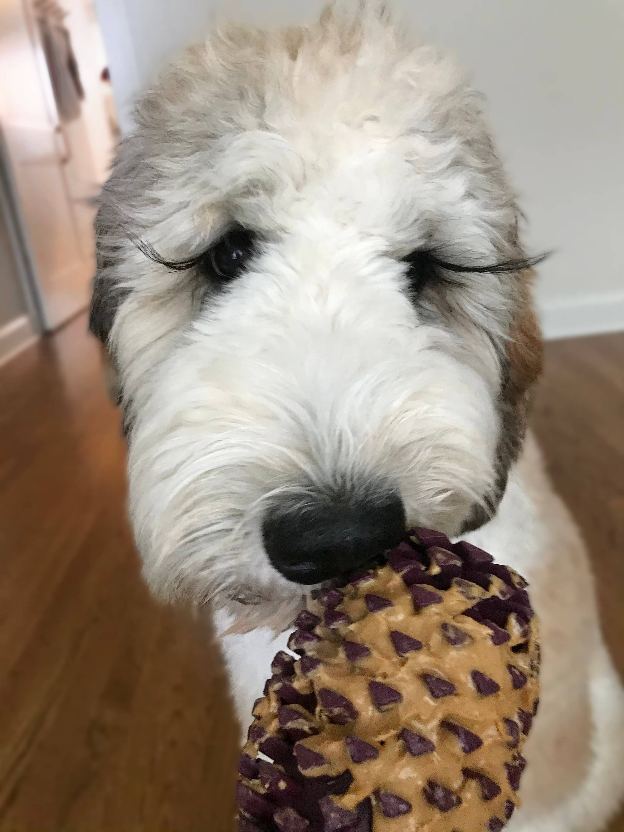 Tall Tails - Tall Tails Natural Rubber Pinecone Toy