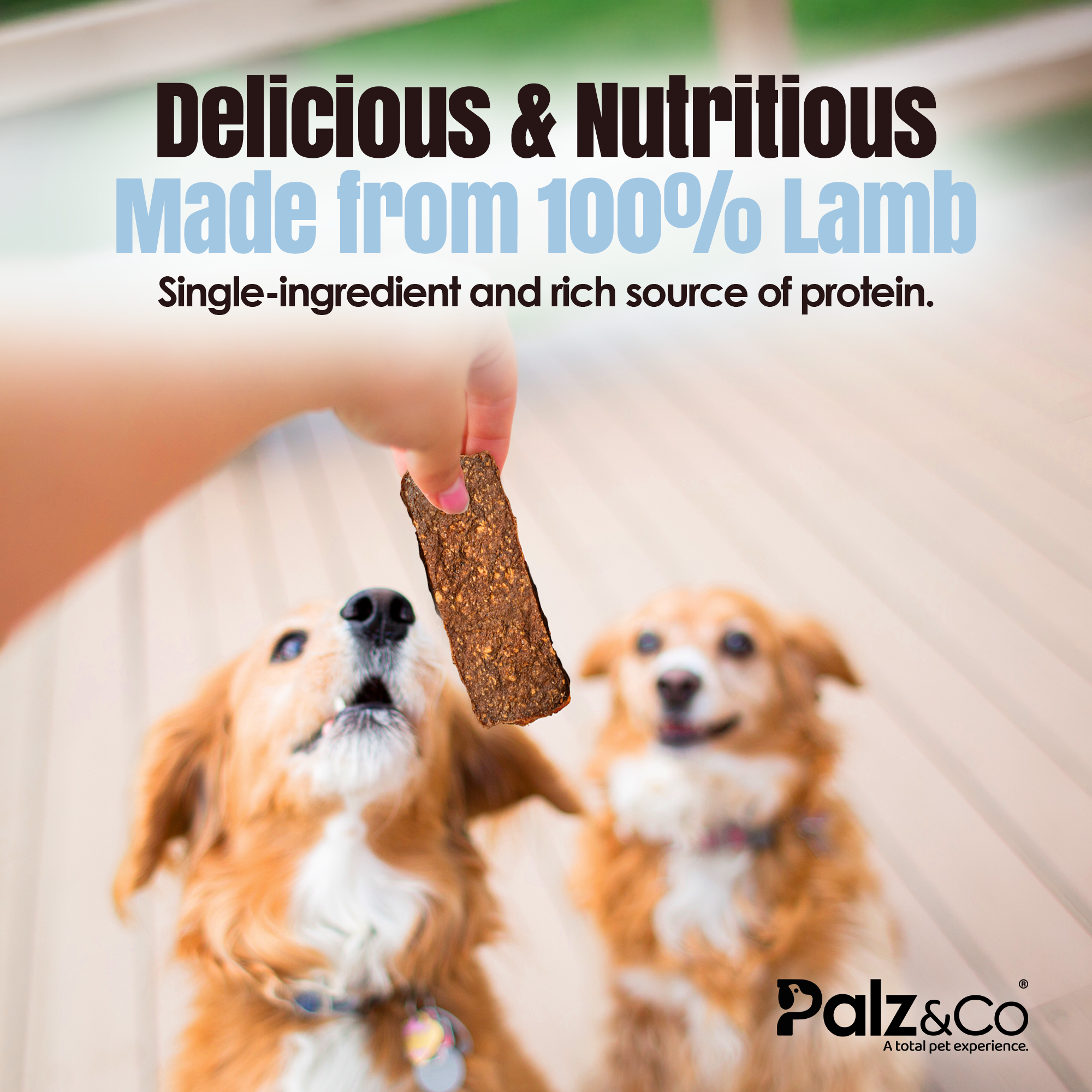 Palz&Co - Lambdog Lamb Jerky (Pack of 10)