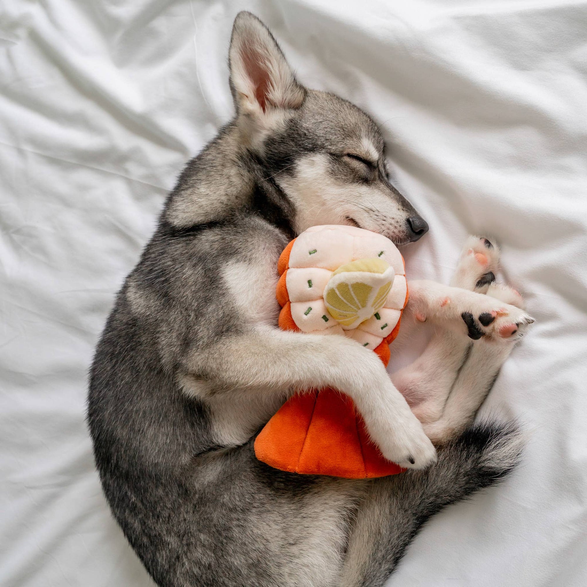 Pups & Bubs- Grilled Lobster Nosework Toy