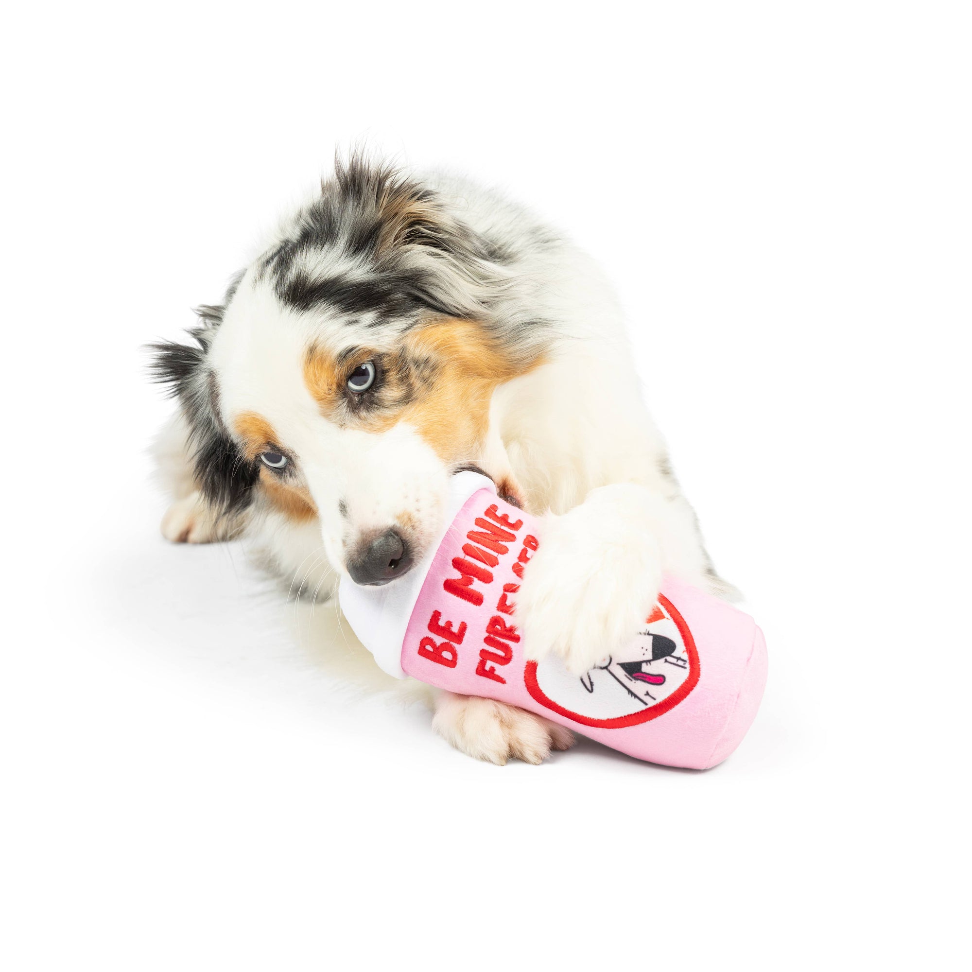 Huxley & Kent - Be Mine Furever Latte Dog Toy (Double Sided): Large