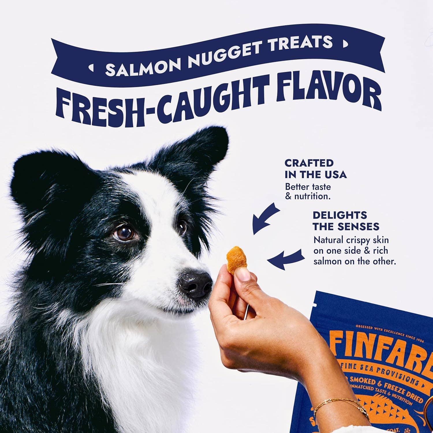 Finfare Pet Foods - Freeze-Dried Salmon Nuggets for Dogs, 2oz