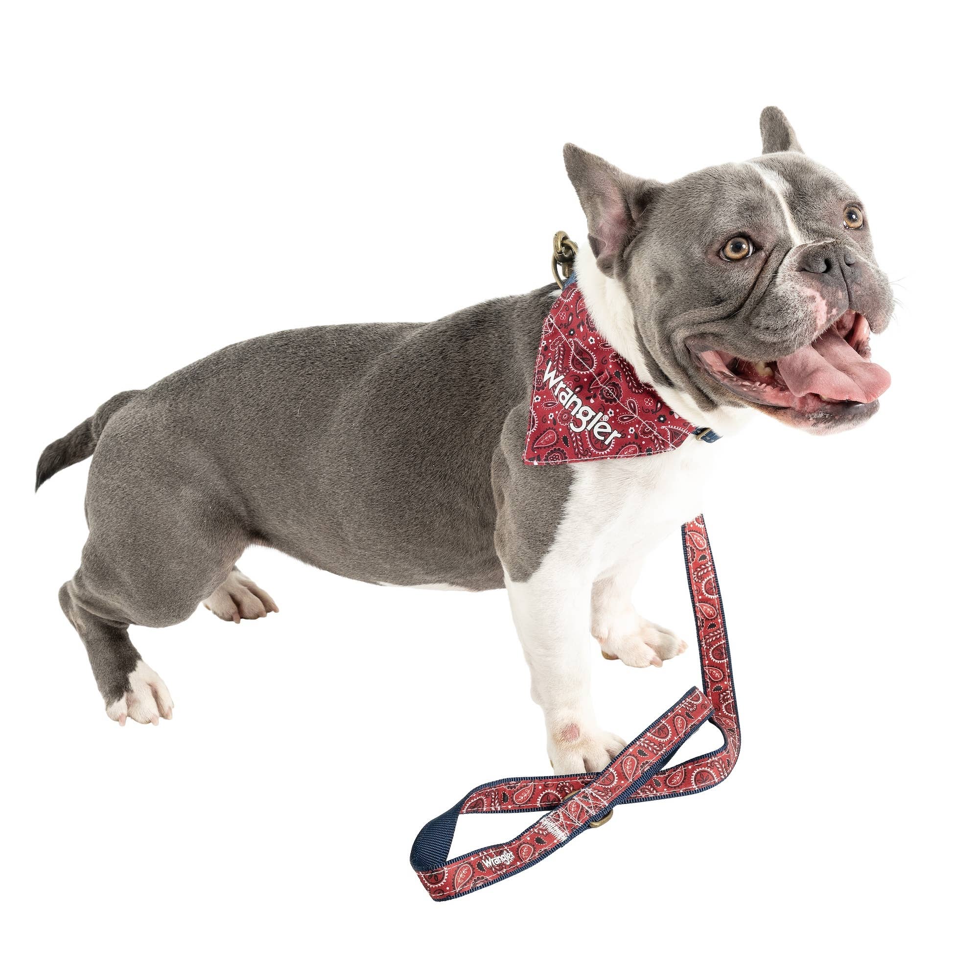 Lexington Pet & Wrangler Pet - Wrangler Red Bandana Collar: Small