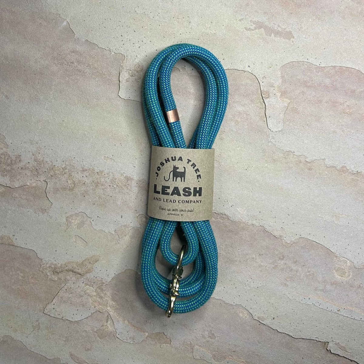 Joshua Tree Leash & Lead - Electric Blue
