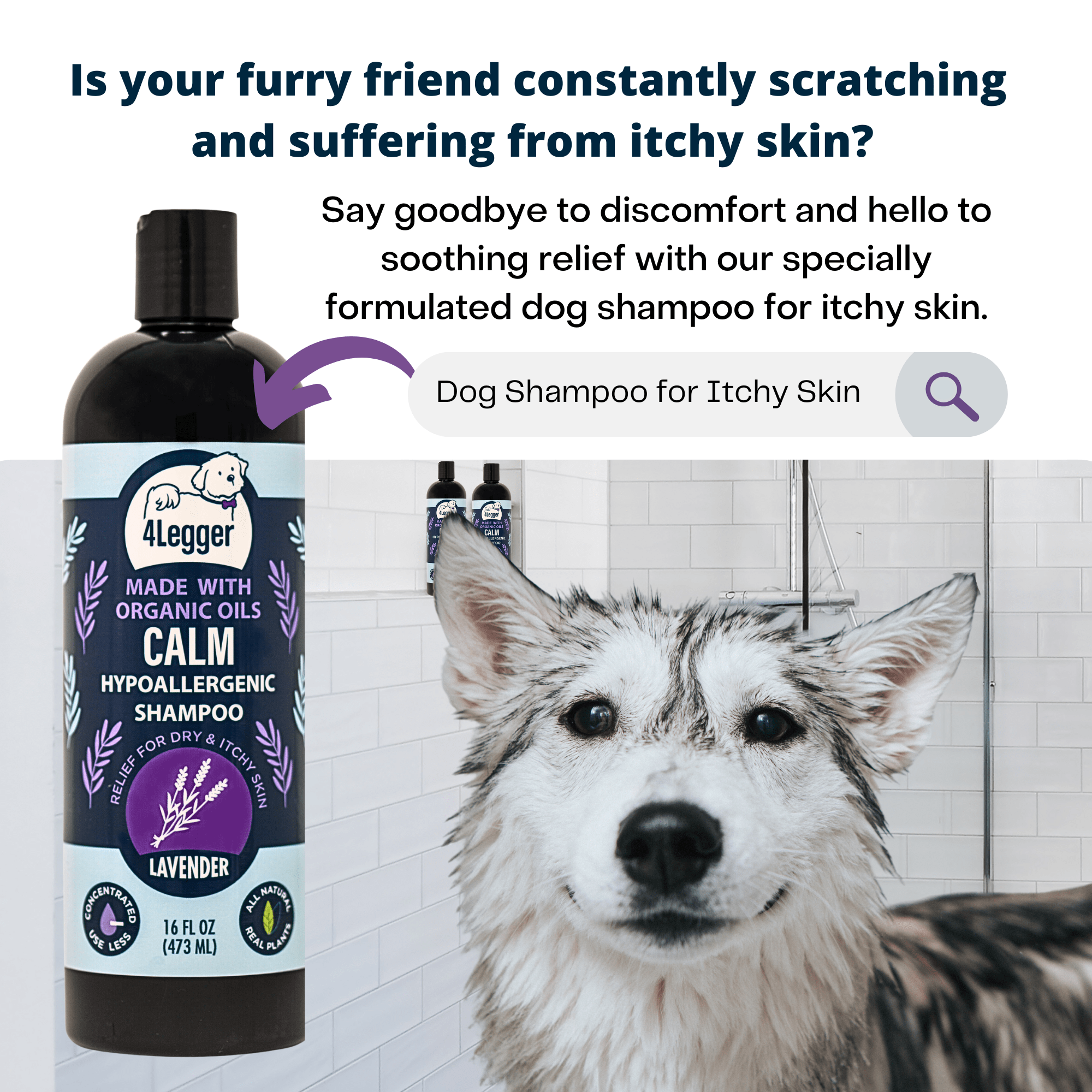 4-Legger - CALM Organic Lavender Natural Dog Shampoo with Calendula: 16 oz bottle